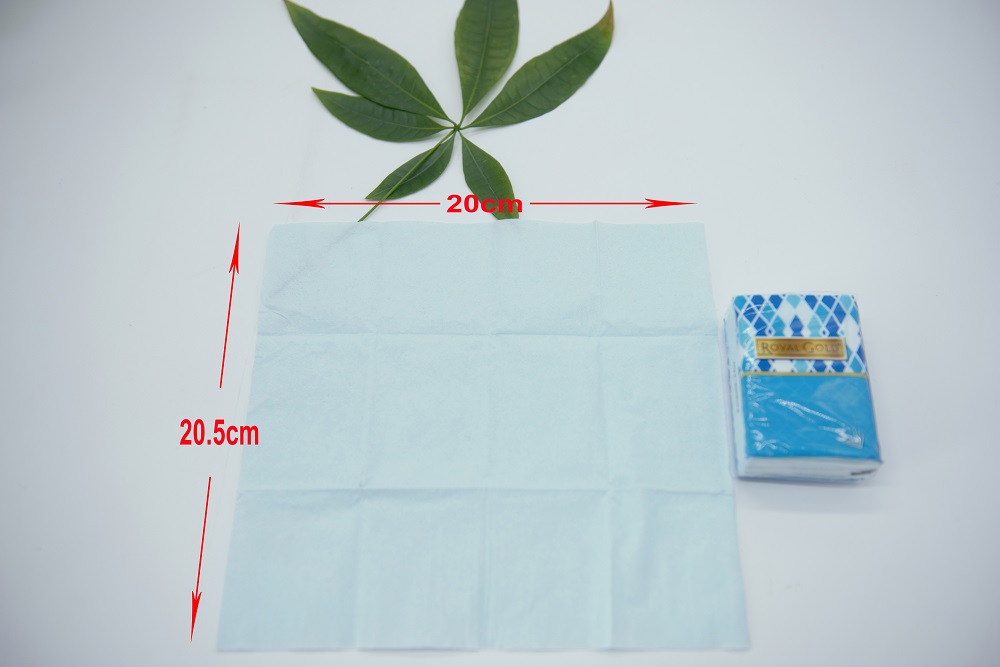 Portable Tissue Paper