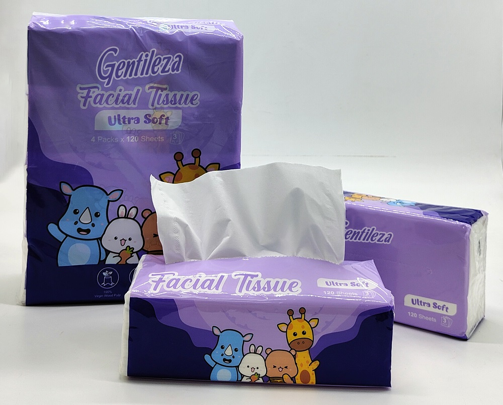 Exquisite Paper Tissue Pack