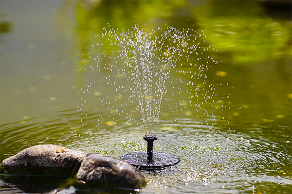 Eco-Charming Solar Floating Fountain